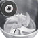 files/nova-food-chopper-371439.jpg