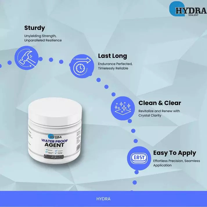 Hydra Sealant Water Proof Agent 300g  With Brush  - (FREE Delivery) Digitalshoper