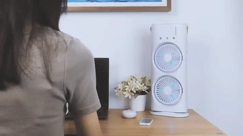 Double Ended Spray Fan Digitalshoper