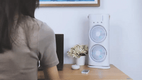 Double Ended Spray Fan Digitalshoper